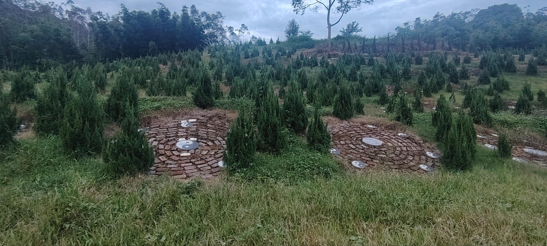 Array detail