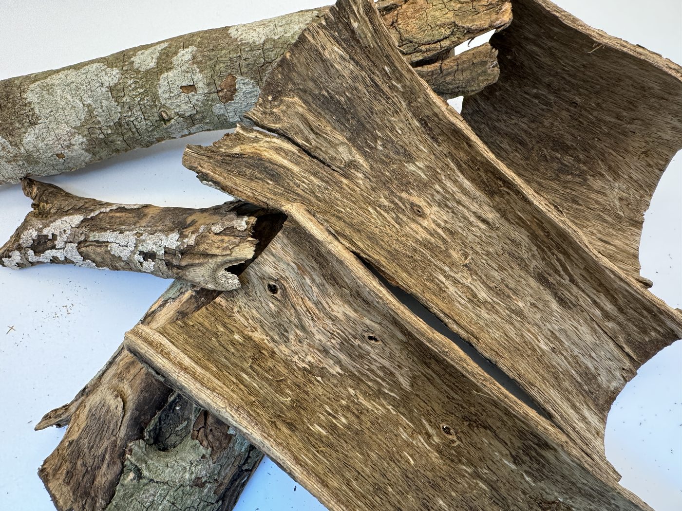 Grade A agarwood offcuts